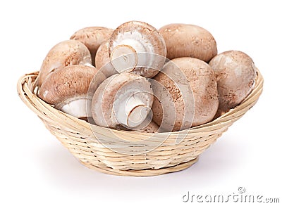 Brown mushroom Stock Photo