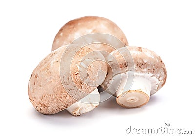 Brown mushroom Stock Photo