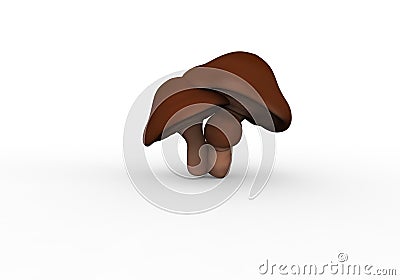 Brown mushrooms on a white background, with shadows Stock Photo