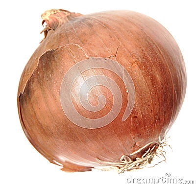 Brown onion Stock Photo