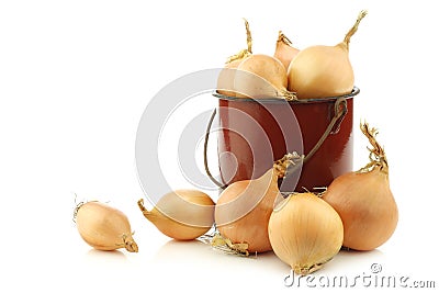 Brown onions in an vintage enamel cooking pot Stock Photo