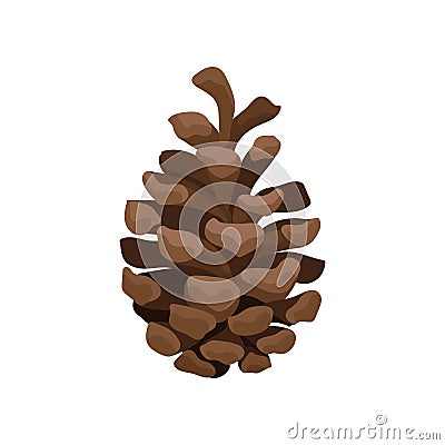 Brown open pine cone on a white background. Vector illustration. Vector Illustration