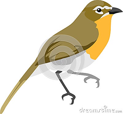 The Brown Orange Bird Animal Vector Vector Illustration