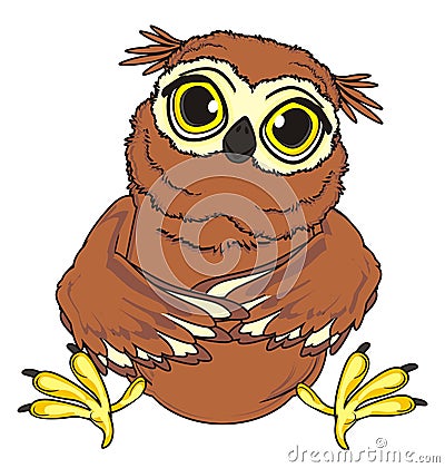 Brown owl sit Stock Photo
