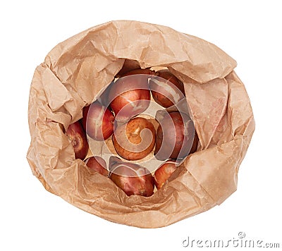 Brown paper bag of assorted tulip bulbs isolated on white background. Overhead view. Stock Photo