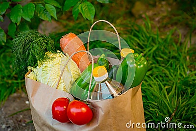 Brown paper bag with vegetables, standing on the green grass Stock Photo