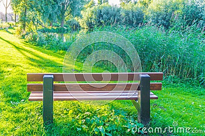 Brown park bench at the park with grass lawn and reed Stock Photo