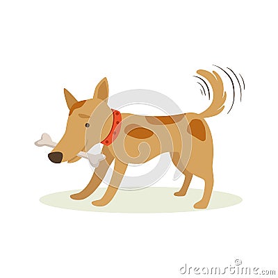 Brown Pet Dog Carrying Bone In Teeth, Animal Emotion Cartoon Illustration Vector Illustration