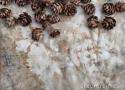 Brown pink cones on old vintage white paper in winter Christmas border decoration with copyspace Stock Photo