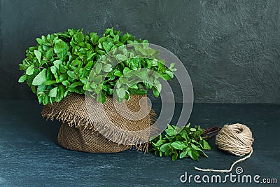 Brown pot, sheaf of mint and skein of twine Stock Photo