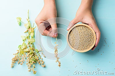 Brown quinoa seeds in a bowl holding by hand Stock Photo