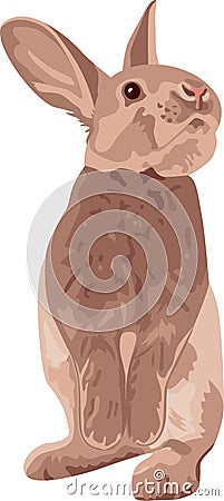 Brown Rabbit standing with big cute bunny ears Vector Illustration