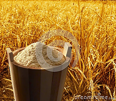 Brown rice Stock Photo