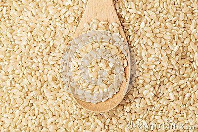 Brown rice on wooden teaspoon Stock Photo