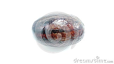 Brown ripe avocado fruit ready for eating Stock Photo