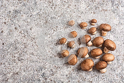 Brown royal champignons on gray background. Flat lay, copy space Stock Photo