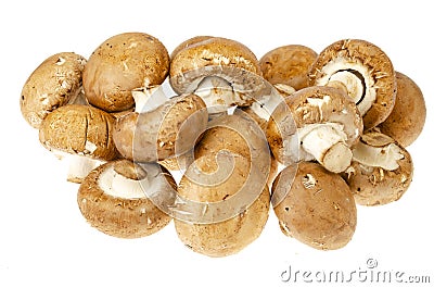 Brown royal champignons on white background. Photo Stock Photo