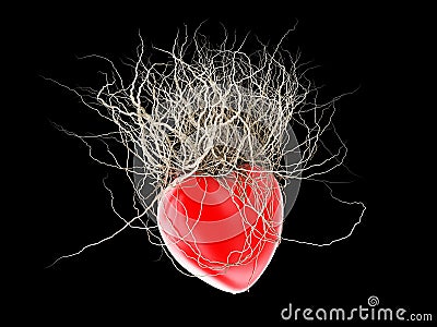 Brown's roots grew out of a red heart, in a black background. Stock Photo