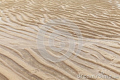 Brown sand curls after the sea water recedes pattern and background texture Stock Photo