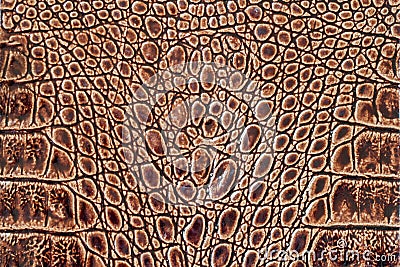 Brown scales macro exotic background, embossed under the skin of a reptile, crocodile. Texture genuine leather close-up Stock Photo