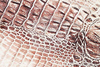 Brown scales macro exotic background, embossed under the skin of a reptile, crocodile. Texture genuine leather close-up Stock Photo