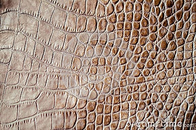 Brown scales macro exotic background, embossed under the skin of a reptile. Texture genuine leather close-up Stock Photo