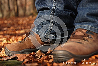 Brown shoes Stock Photo