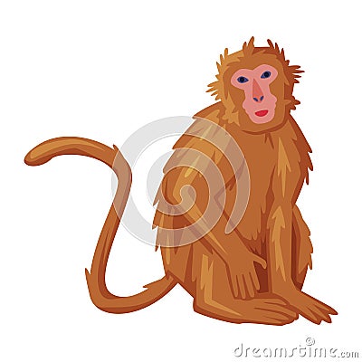 Brown Sitting Monkey as Bali Traditional Cultural Attribute Vector Illustration Vector Illustration