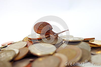 Brown snail climb up to the top of the gold coins Stock Photo