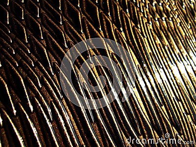 Brown Snake Luxury Leather Stock Photo