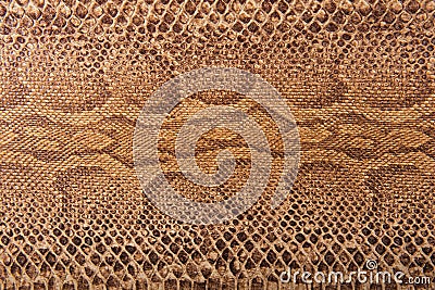 Brown snake pattern imitation, background Stock Photo