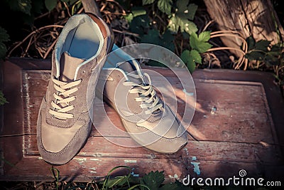 Brown sneakers, men's shoes Stock Photo