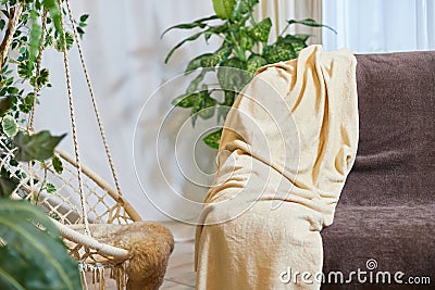 A brown sofa with beige capes in a living room with a flower and a window with curtains. Interior and Home decor Stock Photo