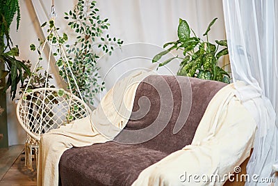 A brown sofa with beige capes in a living room with a flower and a window with curtains. Interior and Home decor Stock Photo