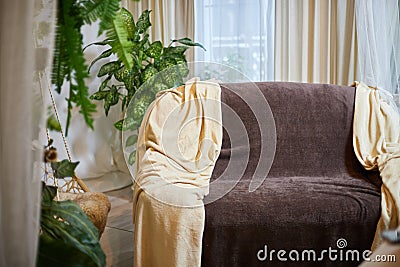 A brown sofa with beige capes in a living room with a flower and a window with curtains. Interior and Home decor Stock Photo