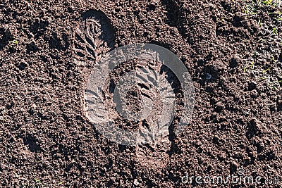 footprint in the dirt. Brown earth with imprints. background photo texture. footprints in the field. Shoeprints in the mud Stock Photo