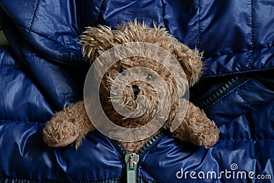 brown teddy bear in a puffed warm black-and-blue jacket, childrens background toy Stock Photo