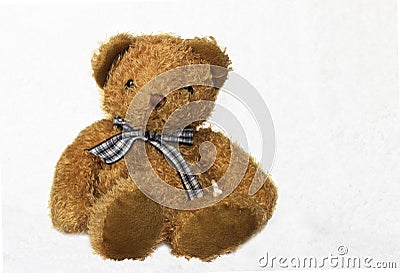 Brown teddy bear on white background Stock Photo