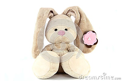 Brown teddy bunny with rose nose and flower on the ear isolated Stock Photo