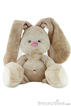 Brown teddy bunny with rose nose isolated Stock Photo