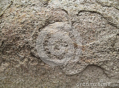 Brown texture of the flat stone Stock Photo