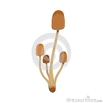 Brown toadstool mushrooms family growing in forest in autumn season Vector Illustration