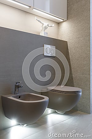 Brown toilet and bidet. Modern wc interior. Economic toilet white flush press with two separate buttons for flushing toilet. Stock Photo