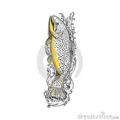 Brown Trout Swimming Up Tattoo Cartoon Illustration