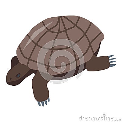 Brown turtle icon, isometric style Vector Illustration