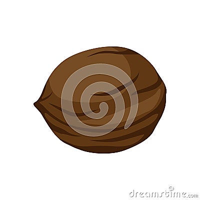 Brown walnut icon. Vector Illustration