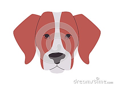 brown and white color head american foxhound dog breed mammal domestic animal cute funny adorable pet Vector Illustration