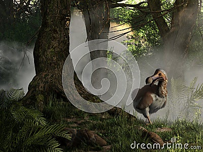 Dodo Stock Photo