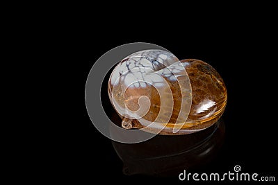 Brown white transparent stone, shape of a heart Stock Photo