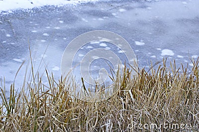 Brown Winter Grass on Frozen River Bank Stock Photo